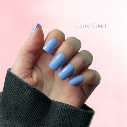 Camaïeu de couleurs (Couleurs au choix)