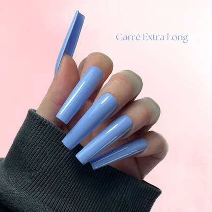 Camaïeu de couleurs (Couleurs au choix)